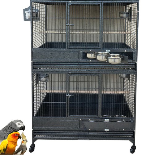 Xlarge stacker bird parrot - 2-stacker,